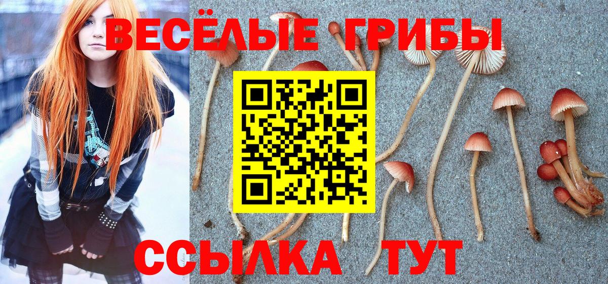 Конопля  Вход с VPN  Борисоглебск  ГАШИШ  Меф кристаллы  COCAIN 